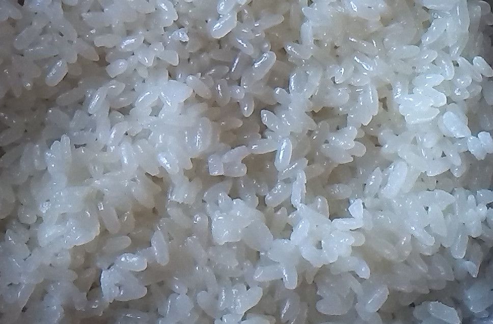 Fertig gedämpfter Mochigome-Reis für Bota Mochi