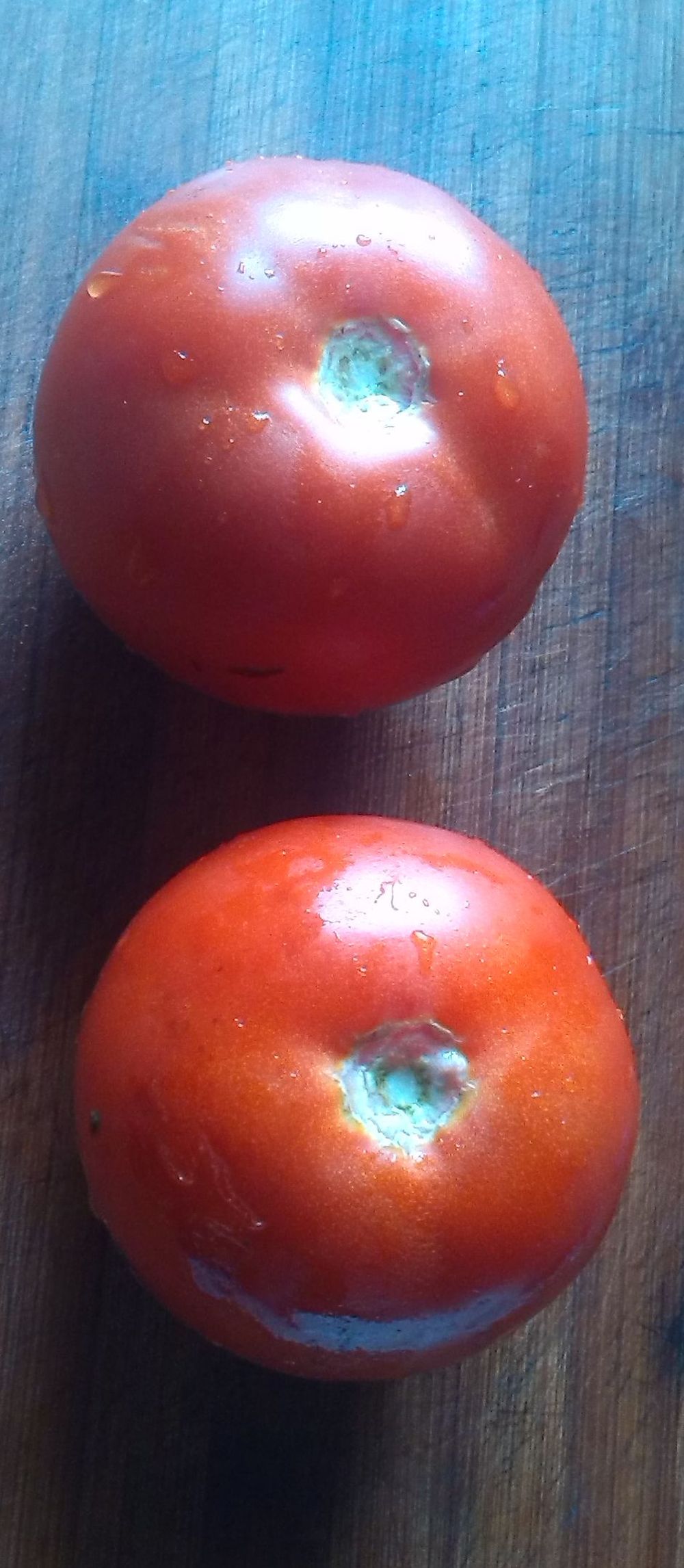 Tomaten.jpg